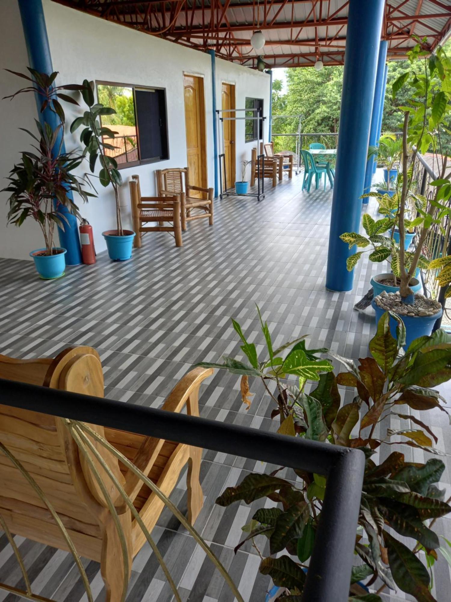 Happy Bear Moalboal Budget Rooms Екстериор снимка